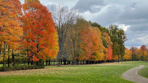 Golf Club «Timberwood Golf Club», reviews and photos, 23700 31 Mile Rd, Ray, MI 48096, USA