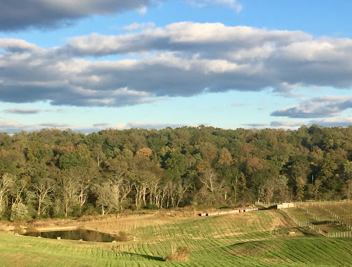 Winery «Blue Valley Vineyard And Winery», reviews and photos, 9402 Justice Ln, Delaplane, VA 20144, USA