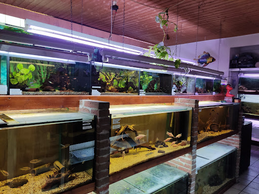 Thomas Tillmann Hobby Zoo unter Duisburg, 