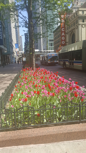 Performing Arts Theater «The Chicago Theatre», reviews and photos, 175 N State St, Chicago, IL 60601, USA