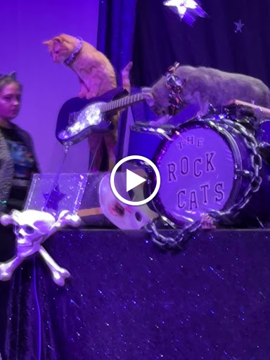 Performing Arts Theater «Catherine A Hickman Theater», reviews and photos, 5501 27th Ave S, Gulfport, FL 33707, USA