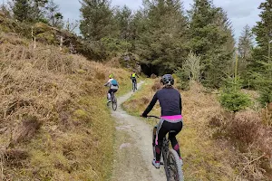 Ballyhoura mountain bike trails image