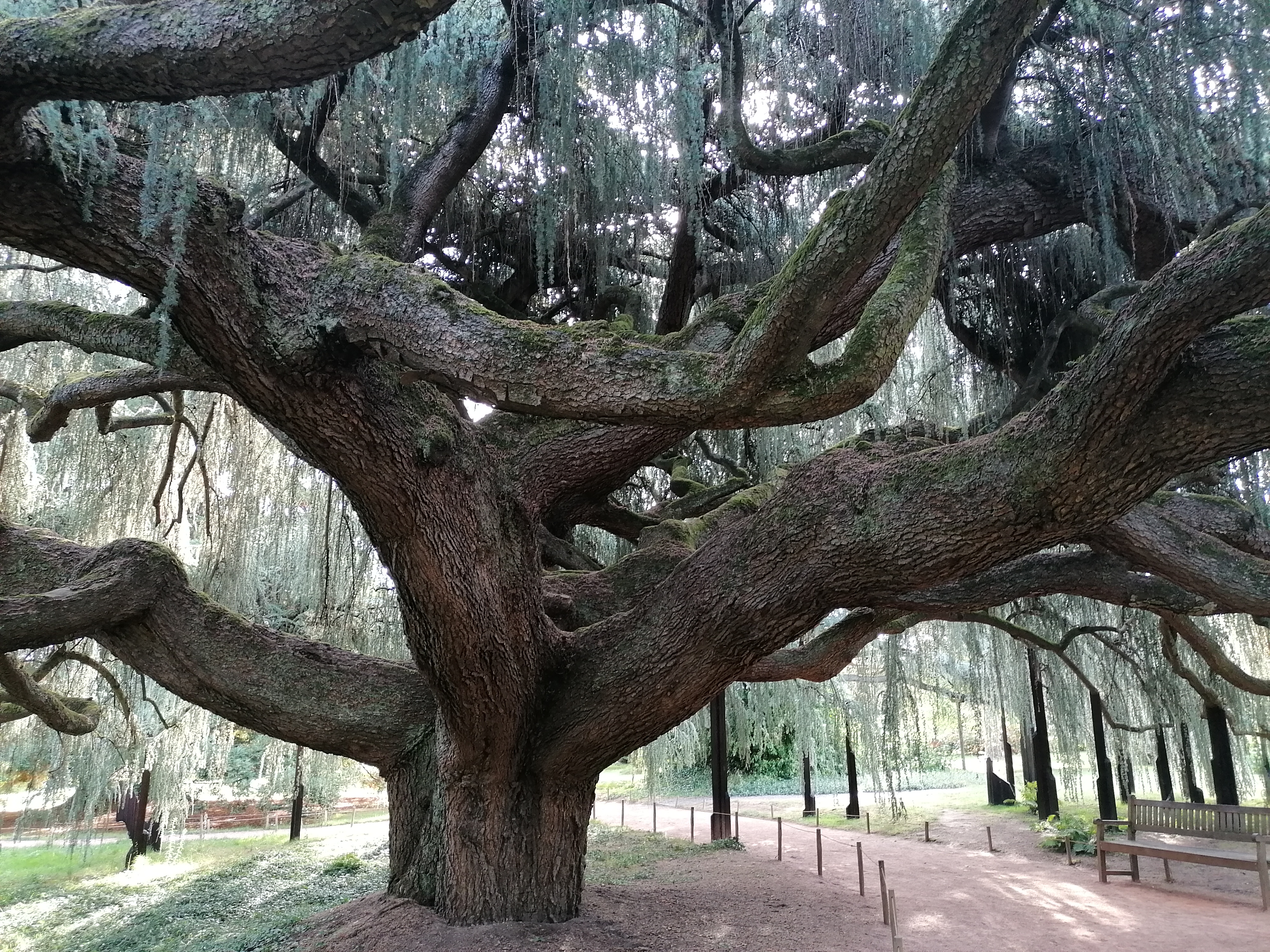 Photo n° 4 de l'avis de guillaume.r fait le 14/09/2021 à 13:10