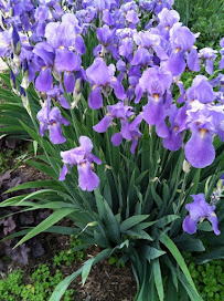 Craypo Lawn & Yard - Photo 5 - Car repair in Provo, UT, Provo