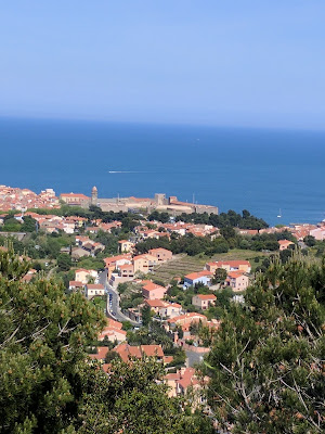 Celler Daider à Collioure