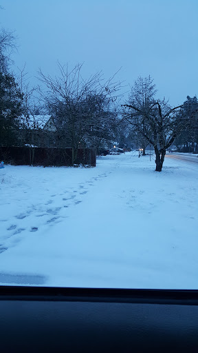 Park «Willamalane Park», reviews and photos, 1276 G St, Springfield, OR 97477, USA