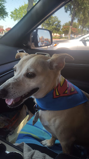 Pet Supply Store «PetSmart», reviews and photos, 860 NE Mall Blvd, Hurst, TX 76053, USA