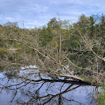 Photo n°2 de l'avis de Marco.t fait le 17/10/2022 à 17:28 sur le  Dalheimer Mühle à Wegberg