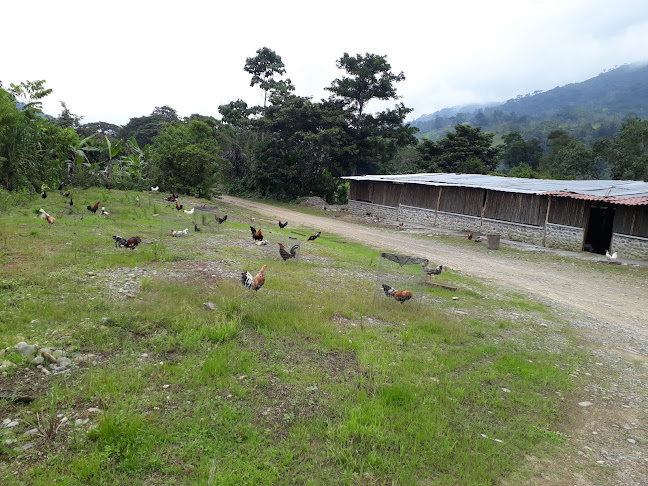 35XP+2Q2, Panguintza, Ecuador