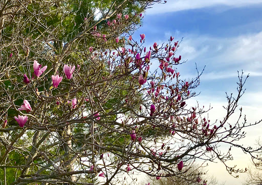 Amusement Center «Mastermind Room Escape - St. Charles», reviews and photos, 3900 Old Hwy 94 S #1, St Charles, MO 63304, USA