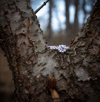 Dani Kay’s photography - Photo 3 - Car repair in , Saginaw