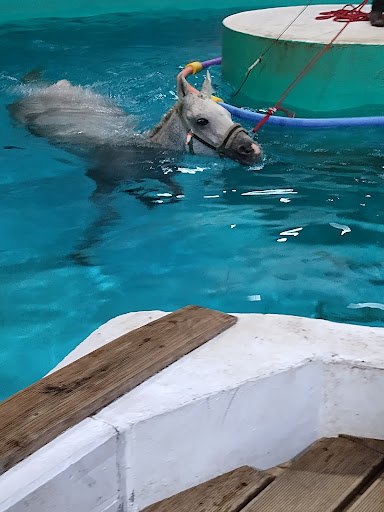 Tiermedizinisches Behandlungszentrum (TMBZ) unter Dießen am Ammersee, 