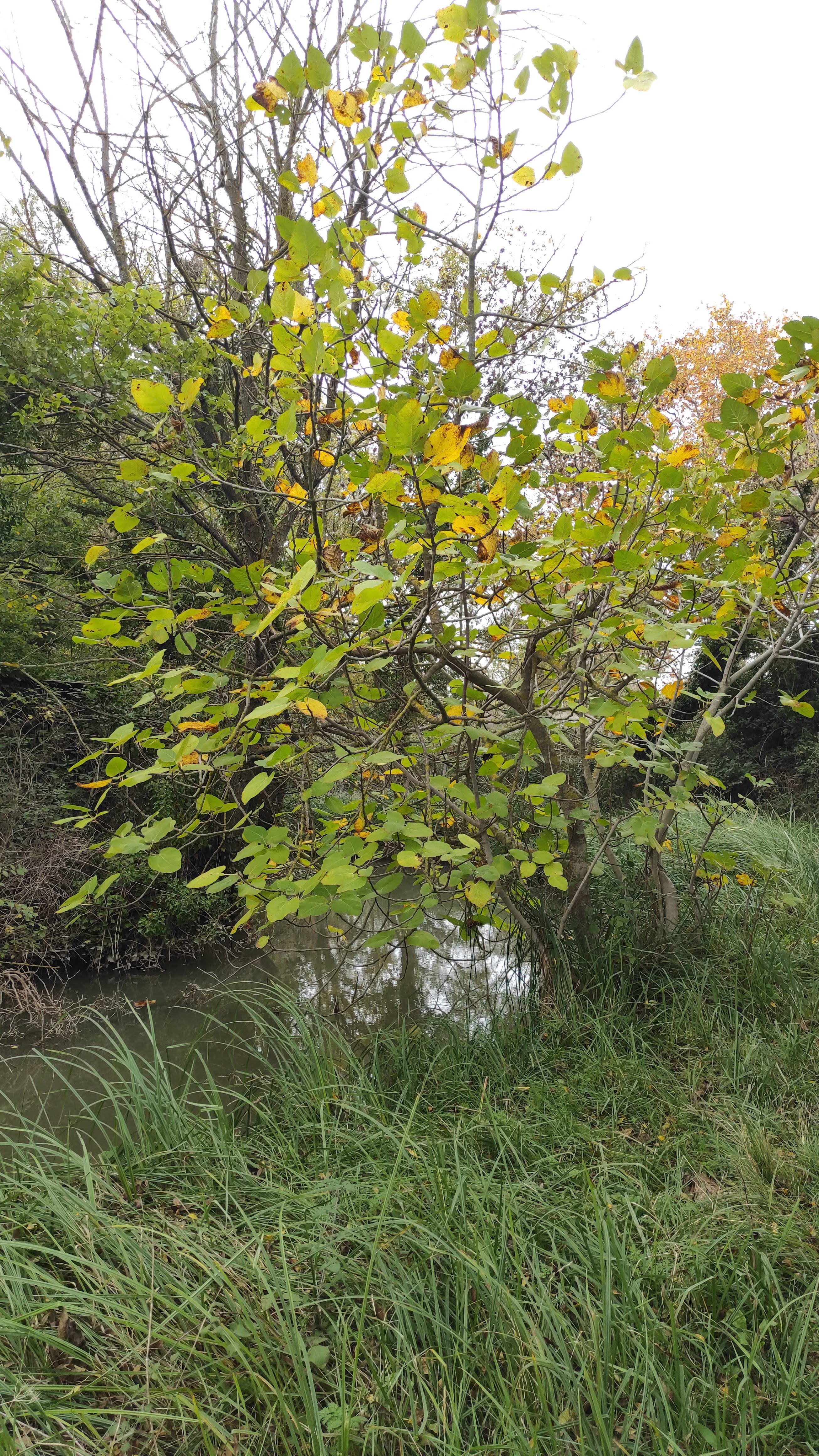 Photo n° 25 de l'avis de barbara.i fait le 31/10/2022 à 11:35
