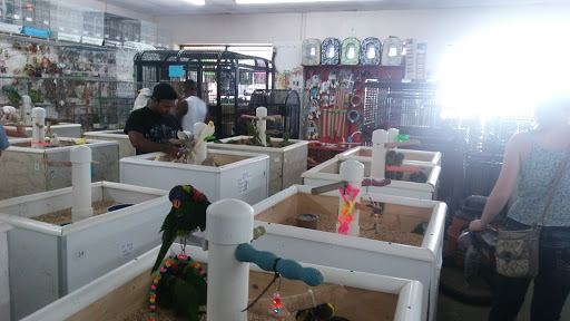 Pet Store «Pet Paradise», reviews and photos, 307 Kellam Rd, Virginia Beach, VA 23462, USA