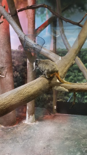 Zoo «Monkey Island», reviews and photos, 8 E 23rd Ave, Denver, CO 80205, USA