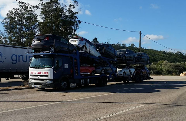 Auto Bigodes - Transporte Publico De Mercadoria Geral, Lda. - Serviço de transporte