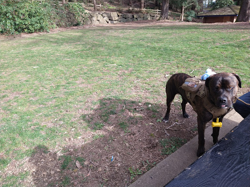 Park «Tukwila Park», reviews and photos, 15460 65th Ave S, Tukwila, WA 98188, USA