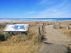Riversdale Beach'in fotoğrafı çok temiz temizlik seviyesi ile