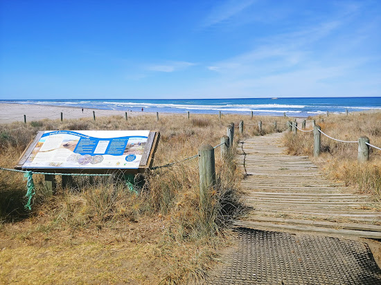 Riversdale Beach