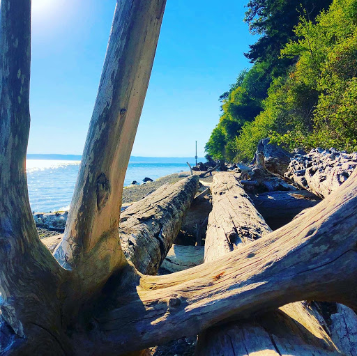 Park «Marine View Park», reviews and photos, 20945 Marine View Dr SW, Normandy Park, WA 98166, USA