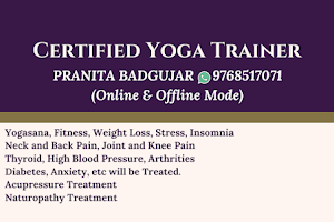 Pranita Yoga Fitness Classes (Online & Offline mode) image