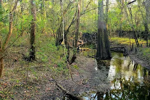 Flatwoods Park - Bruce B Downs Entrance image