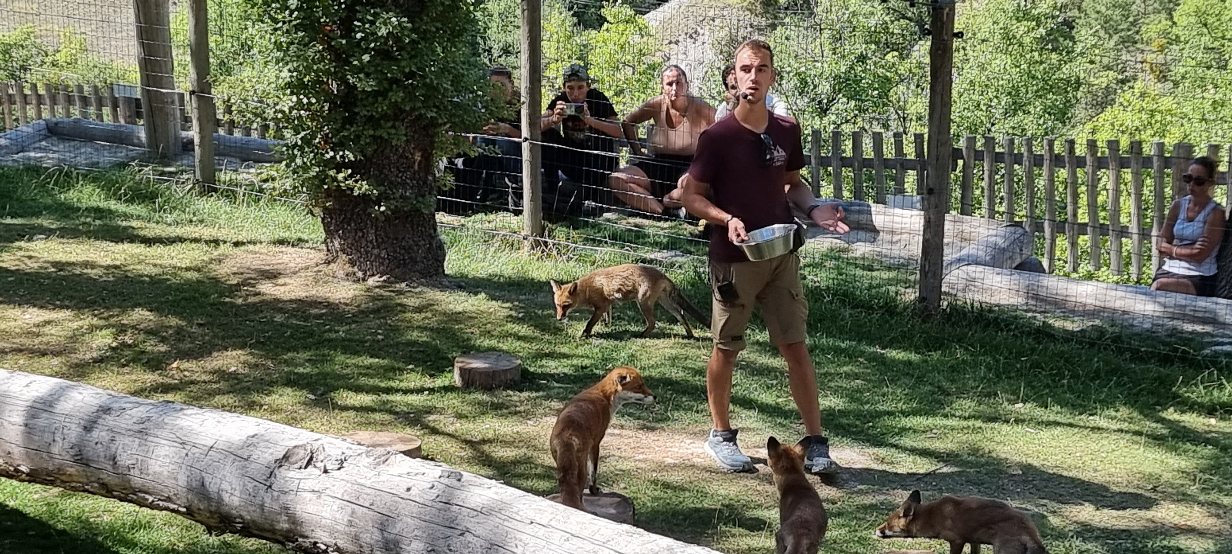 Photo n° 5 de l'avis de Didier.E fait le 03/09/2022 à 06:54