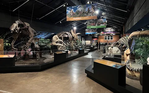 Houston Museum of Natural Science at Sugar Land image