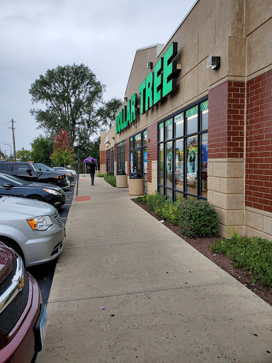 Dollar Store «Dollar Tree», reviews and photos, 918 E New York St #130, Aurora, IL 60505, USA