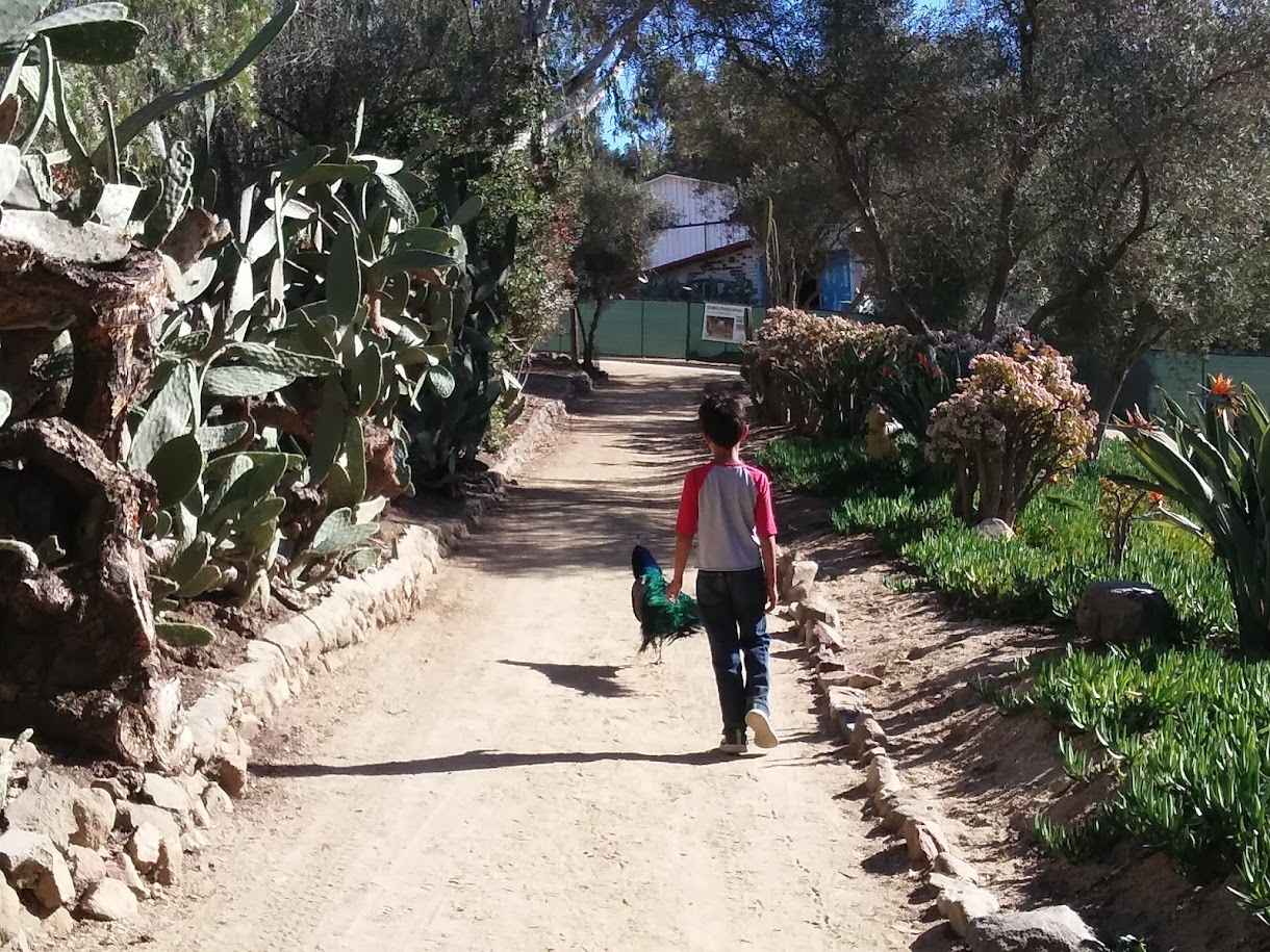 Leo Carrillo Historic Park