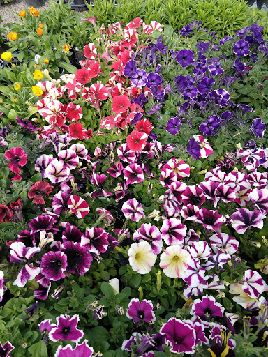 Produce Market «The Bigsby Market», reviews and photos, 1418 Dryden Rd, Freeville, NY 13068, USA