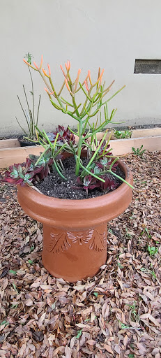 Building Materials Store «Foothill Building Materials», reviews and photos, 133 W Foothill Blvd, Pomona, CA 91767, USA