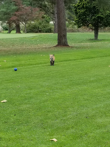 Country Club «Old Orchard Country Club», reviews and photos, 54 Monmouth Rd, Eatontown, NJ 07724, USA