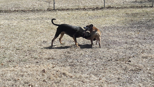 Park «Sweets Knoll State Park», reviews and photos, 1387 Somerset Ave, Dighton, MA 02715, USA