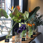 Photo n°1 de l'avis de Leia.r fait le 12/03/2023 à 18:57 sur le  Elefantenhaus à Michelstadt