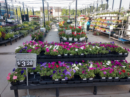 Department Store «Walmart Supercenter», reviews and photos, 1882 Holly St, Blair, NE 68008, USA