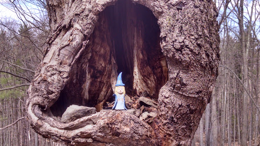 State Park «Winding Hills County Park», reviews and photos, 1847 NY-17K, Montgomery, NY 12549, USA