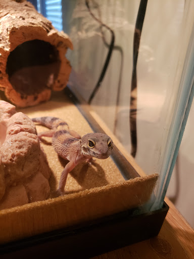 Pet Supply Store «Petco Animal Supplies», reviews and photos, 205 SE 5th St, Ames, IA 50010, USA