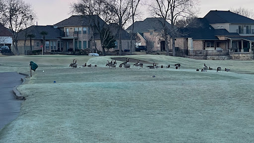 Golf Course «Riverchase Golf Course», reviews and photos, 700 Riverchase Dr, Coppell, TX 75019, USA