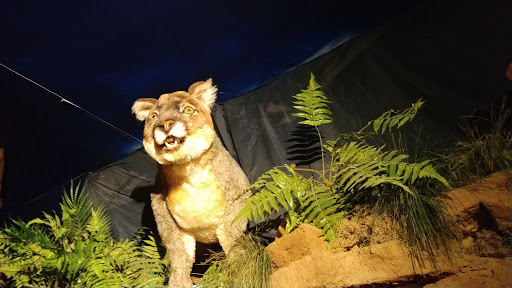 Tourist Attraction «National Christmas Center Family Attraction & Museum», reviews and photos, 3427 Lincoln Hwy, Paradise, PA 17562, USA