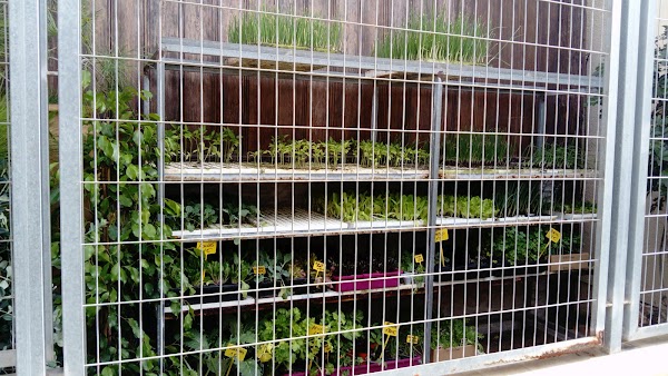 Floristeria Marego