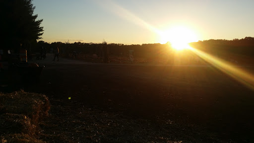 Farm «Giamarese Farm & Orchards», reviews and photos, 155 Fresh Ponds Rd, East Brunswick, NJ 08816, USA