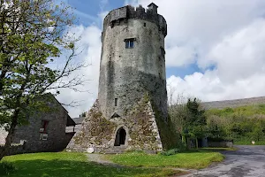 Newtown Castle image