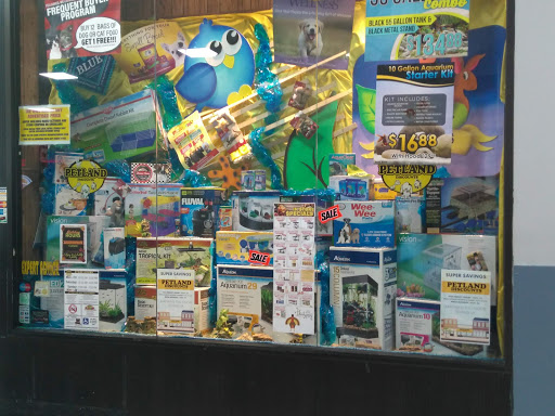 Pet Supply Store «Petland Discounts - Middle Village», reviews and photos, 6626 Metropolitan Ave, Middle Village, NY 11379, USA