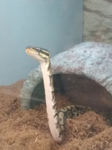 Pet Supply Store «Petco Animal Supplies», reviews and photos, 3444 S Mooney Blvd, Visalia, CA 93277, USA