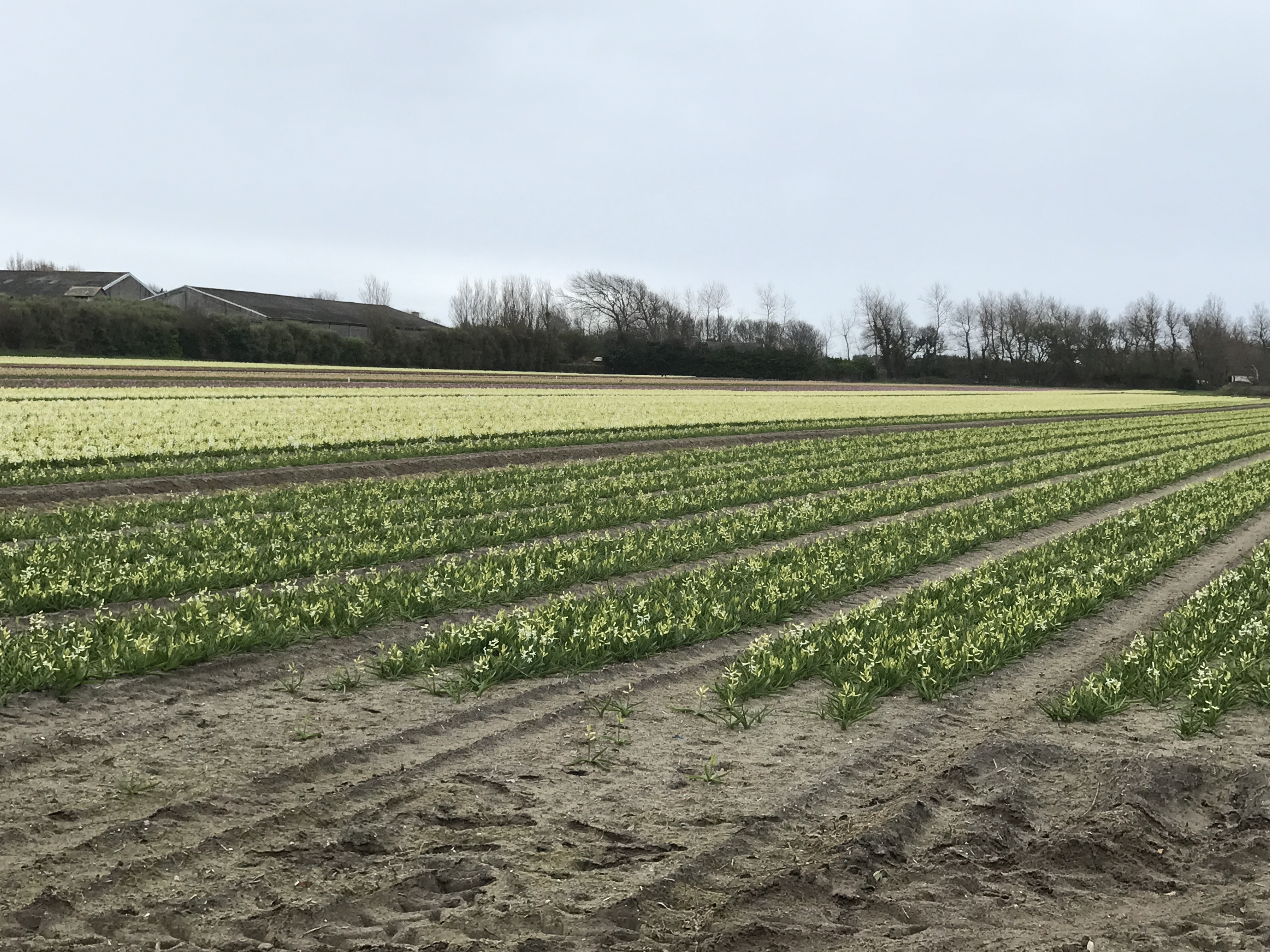 Photo n° 9 de l'avis de Jean-Marie.U fait le 11/03/2022 à 10:42