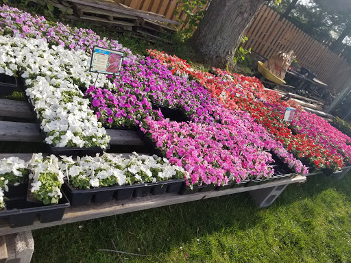 Florist «Lyndhurst Florist», reviews and photos, 5268 Mayfield Rd, Lyndhurst, OH 44124, USA