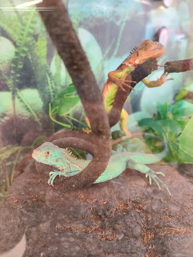 Pet Supply Store «Petco Animal Supplies», reviews and photos, 6595 N Illinois St, Fairview Heights, IL 62208, USA