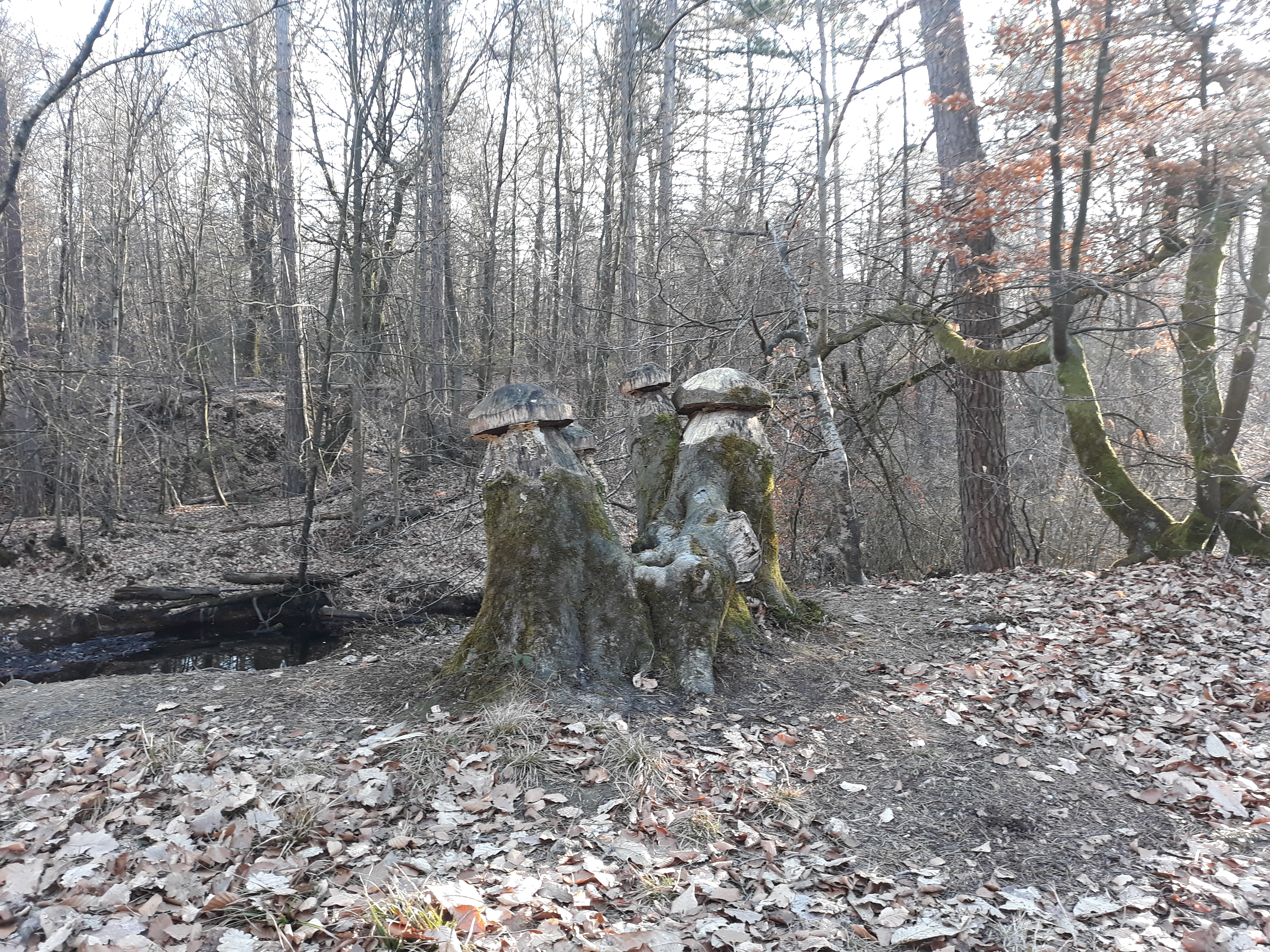 Photo n° 1 de l'avis de sandrine. fait le 24/02/2019 à 17:29