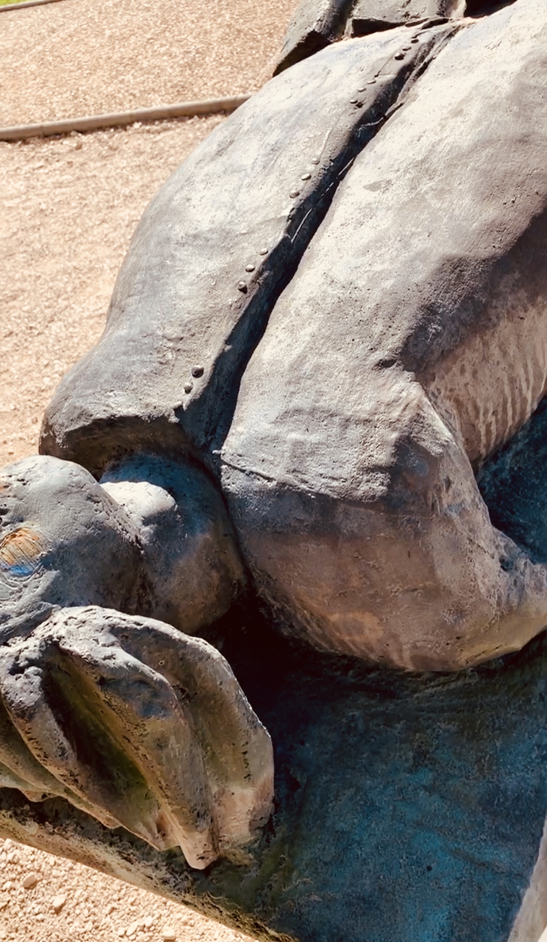 Photo n° 19 de l'avis de François.A fait le 07/06/2019 à 10:09